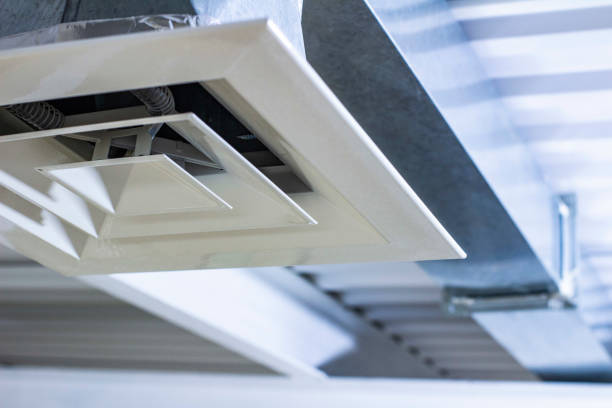 Best Professional Duct Cleaning Services  in Alamae, NC