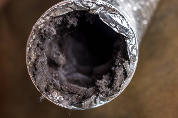 Best Ventilation Cleaning Services  in Alamae, NC