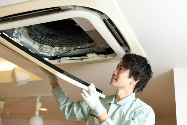 Best Local Air Duct Cleaning Services  in Alamae, NC